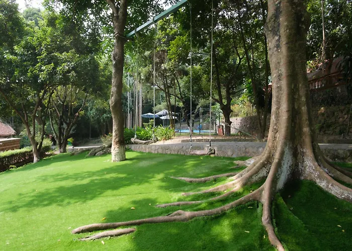 Bavi Homestead