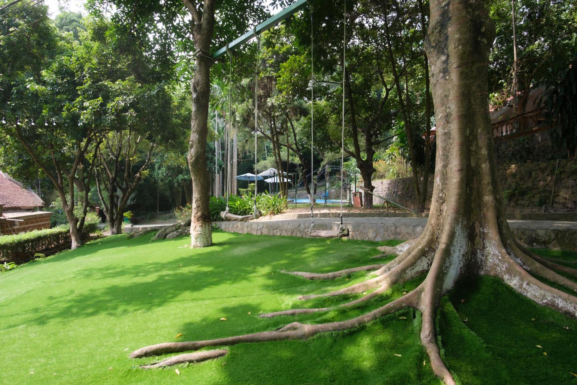 Bavi Homestead
