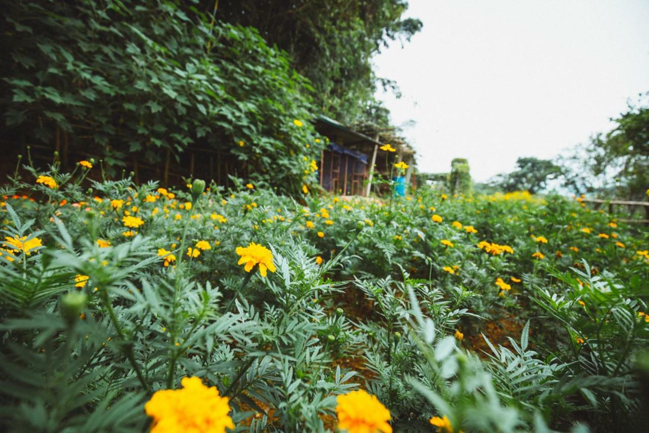 Bavi Homestead Nhà ở miền quê *